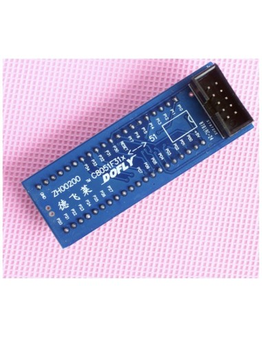 C8051F310 CONVERTER